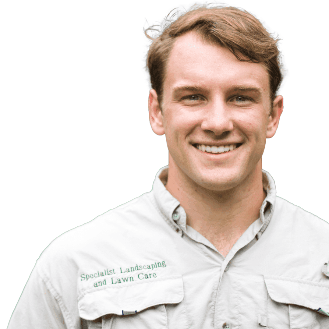 Specialist Lawn Care and Construction project
